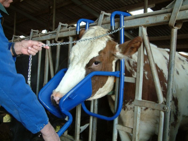 поддержка
