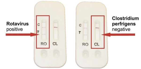 15842+7